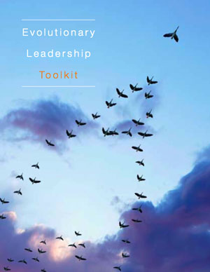 Evolutionary Leadership Toolkit